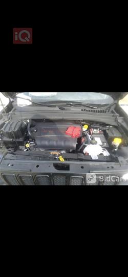 جيب رينيجيد